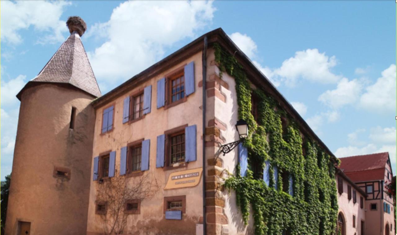 Au Nid De Cigogne Zellenberg