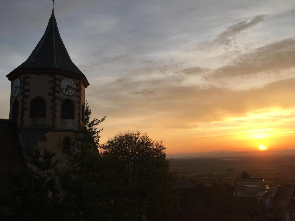 Apartment Au Nid De Cigogne